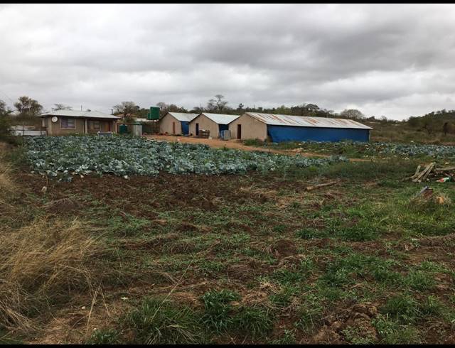 3,000M² SMALLHOLDING SOLD IN THOHOYANDOU RURAL